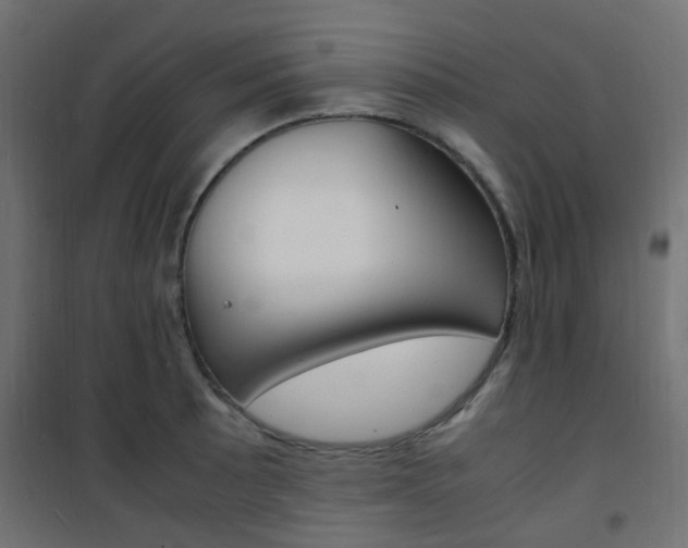 X0000101481089200807071237