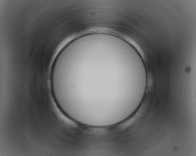 X0000101481090200807071237