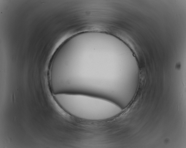 X0000101481091200807071237