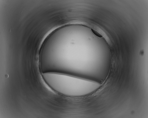 X0000101481092200807071237