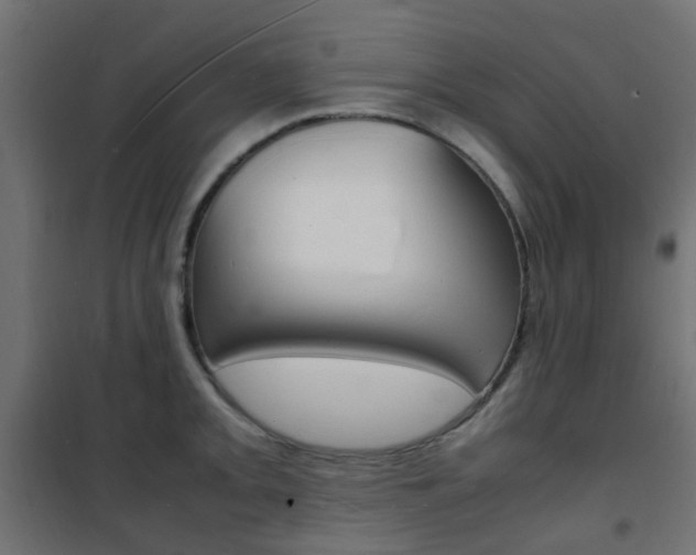 X0000101481093200807071237