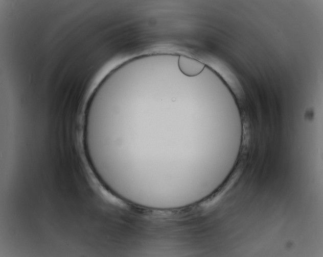 X0000101481094200807071237
