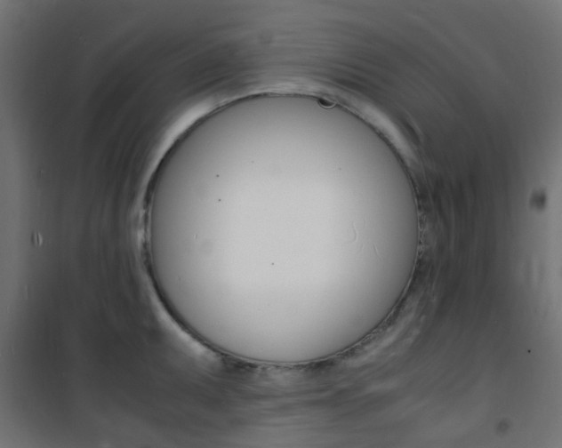 X0000101481095200807071237