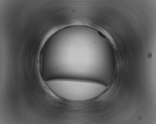 X0000101481096200807071237