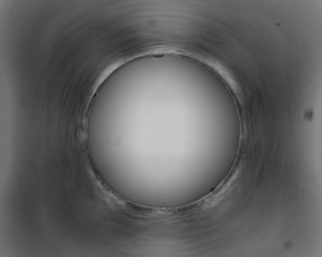 X0000101481097200807071237