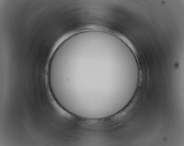 X0000101481098200807071237