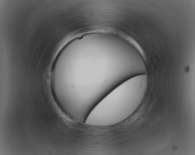 X0000101481099200807071237