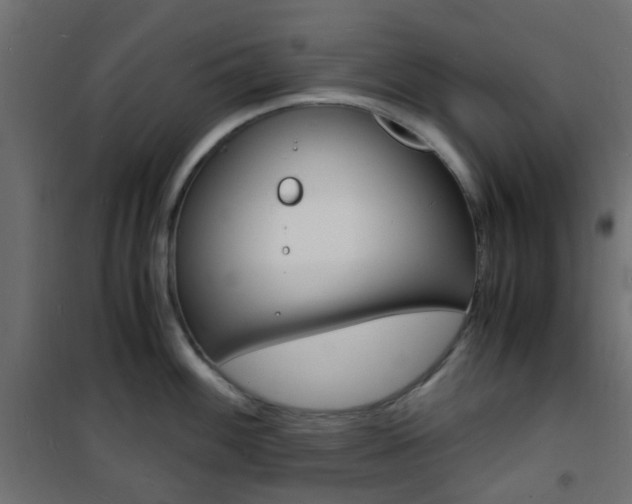 X0000101481100200807071237