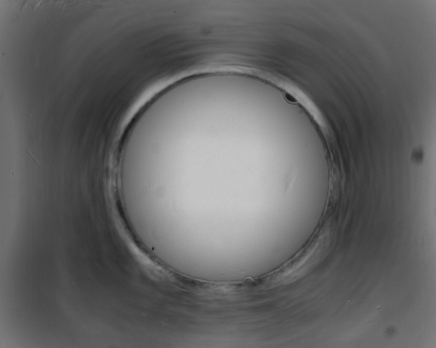 X0000101481101200807071237