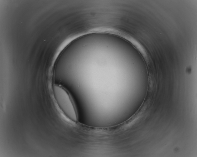 X0000101481102200807071237