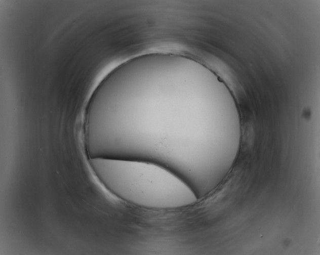 X0000101481103200807071237