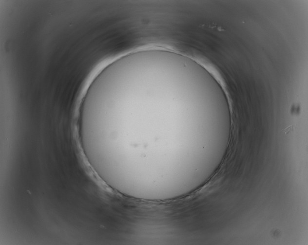 X0000101481104200807071237