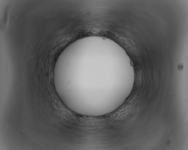 X0000101481105200807071236