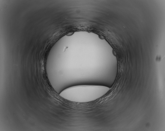 X0000101481106200807071236