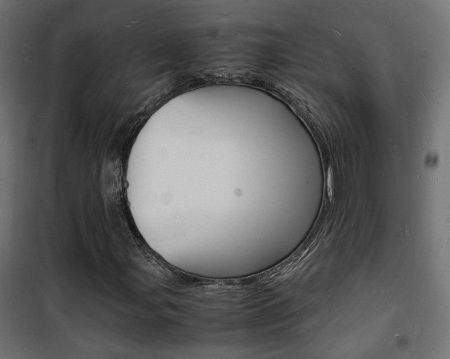 X0000101481107200807071236