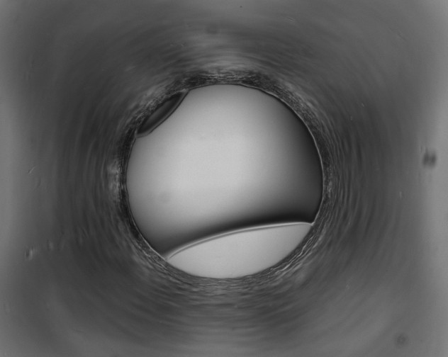 X0000101481108200807071236