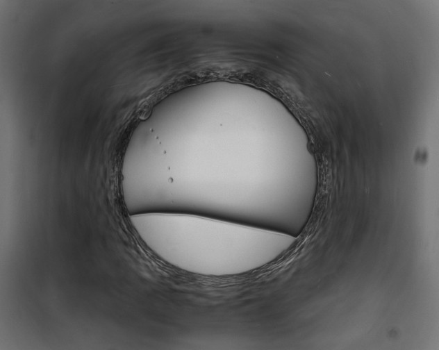 X0000101481109200807071236