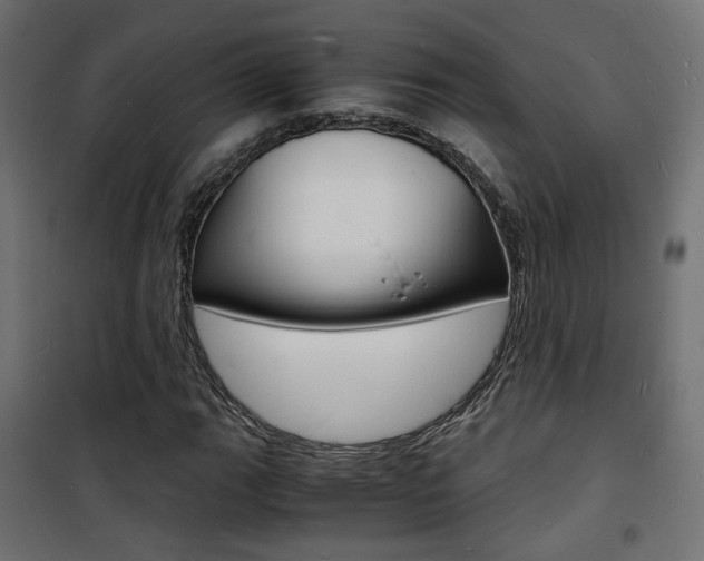 X0000101481111200807071237