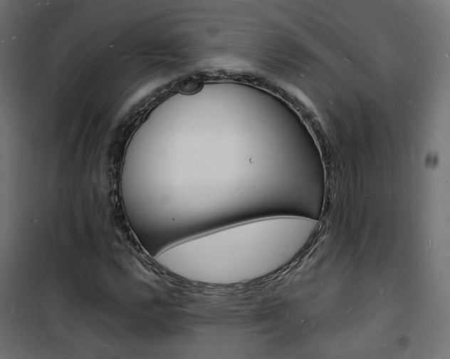 X0000101481112200807071237