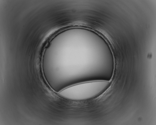 X0000101481115200807071237