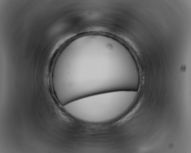 X0000101481117200807071237