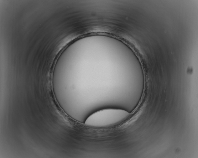 X0000101481121200807071237