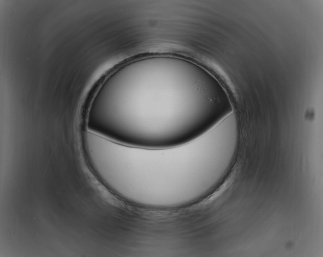 X0000101481122200807071237