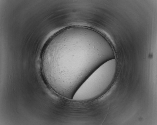 X0000101481125200807071237
