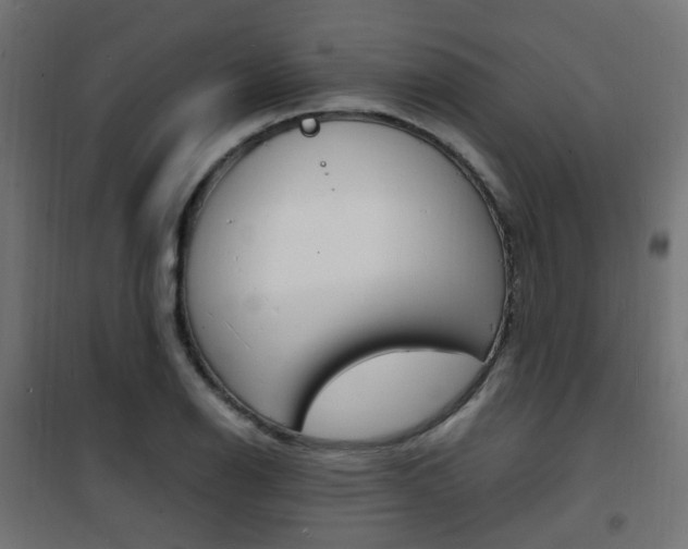 X0000101481126200807071237