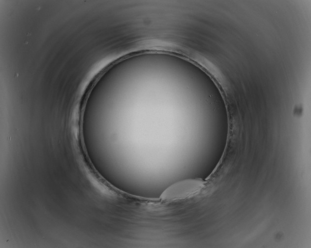 X0000101481128200807071237