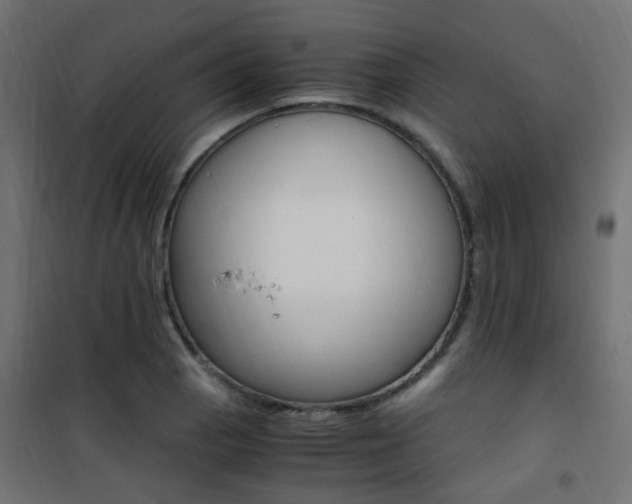 X0000101481129200807071237