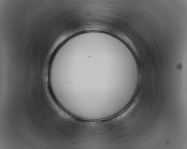 X0000101481130200807071237