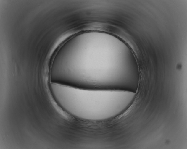 X0000101481131200807071237