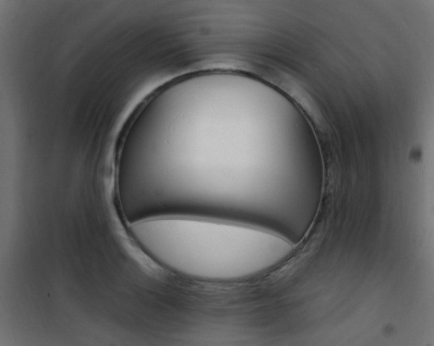 X0000101481132200807071237