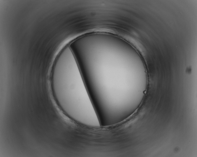 X0000101481133200807071237