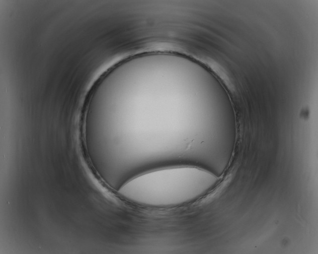 X0000101481134200807071237