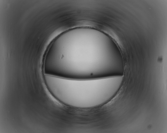 X0000101481135200807071237