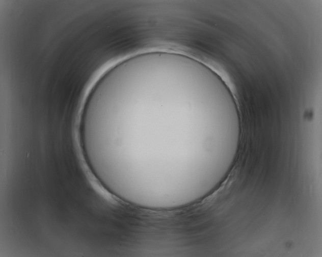 X0000101481136200807071237