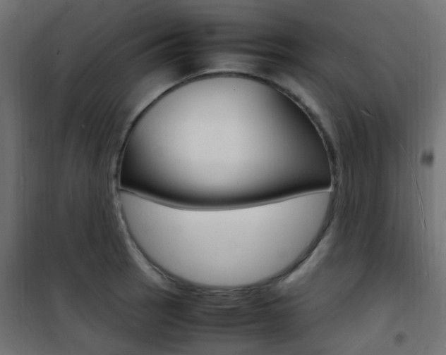X0000101481137200807071237