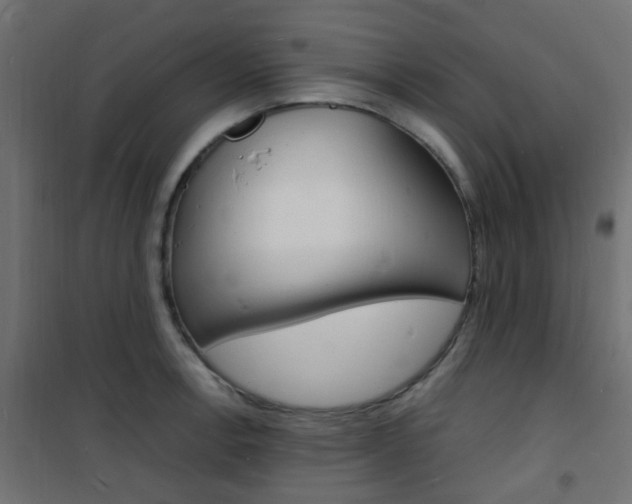 X0000101481138200807071237