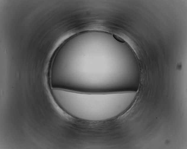 X0000101481139200807071237