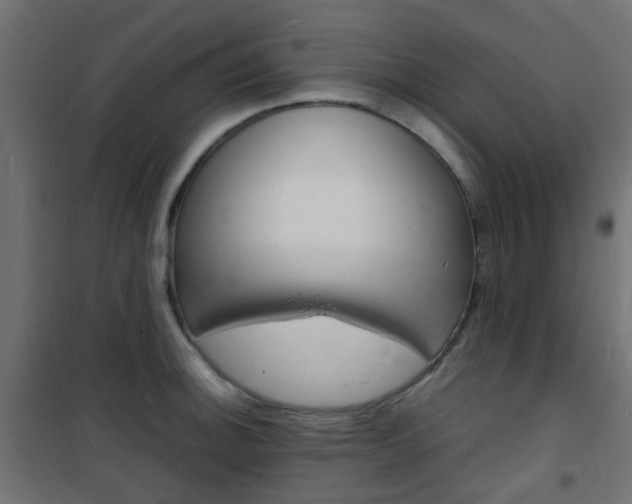 X0000101481140200807071237
