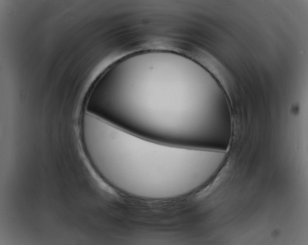 X0000101481141200807071237