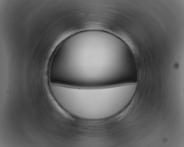 X0000101481142200807071237