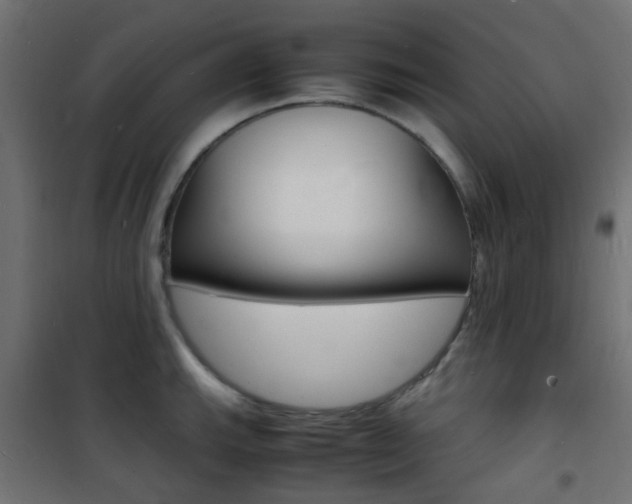X0000101481143200807071237