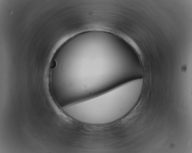 X0000101481144200807071237