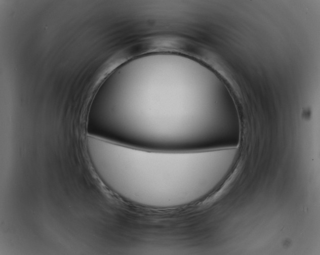 X0000101481145200807071237