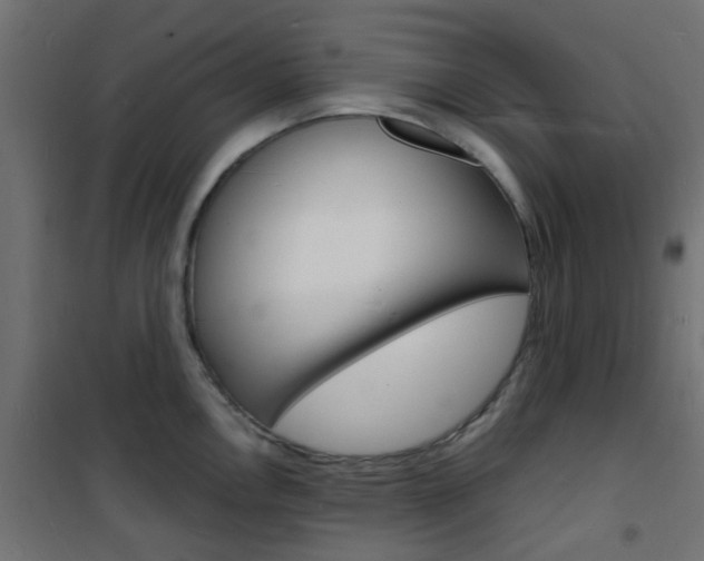X0000101481146200807071237
