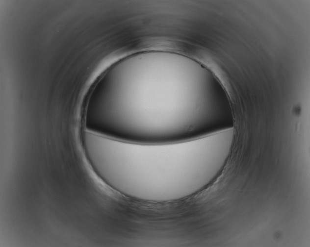 X0000101481147200807071237