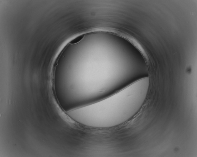 X0000101481148200807071237